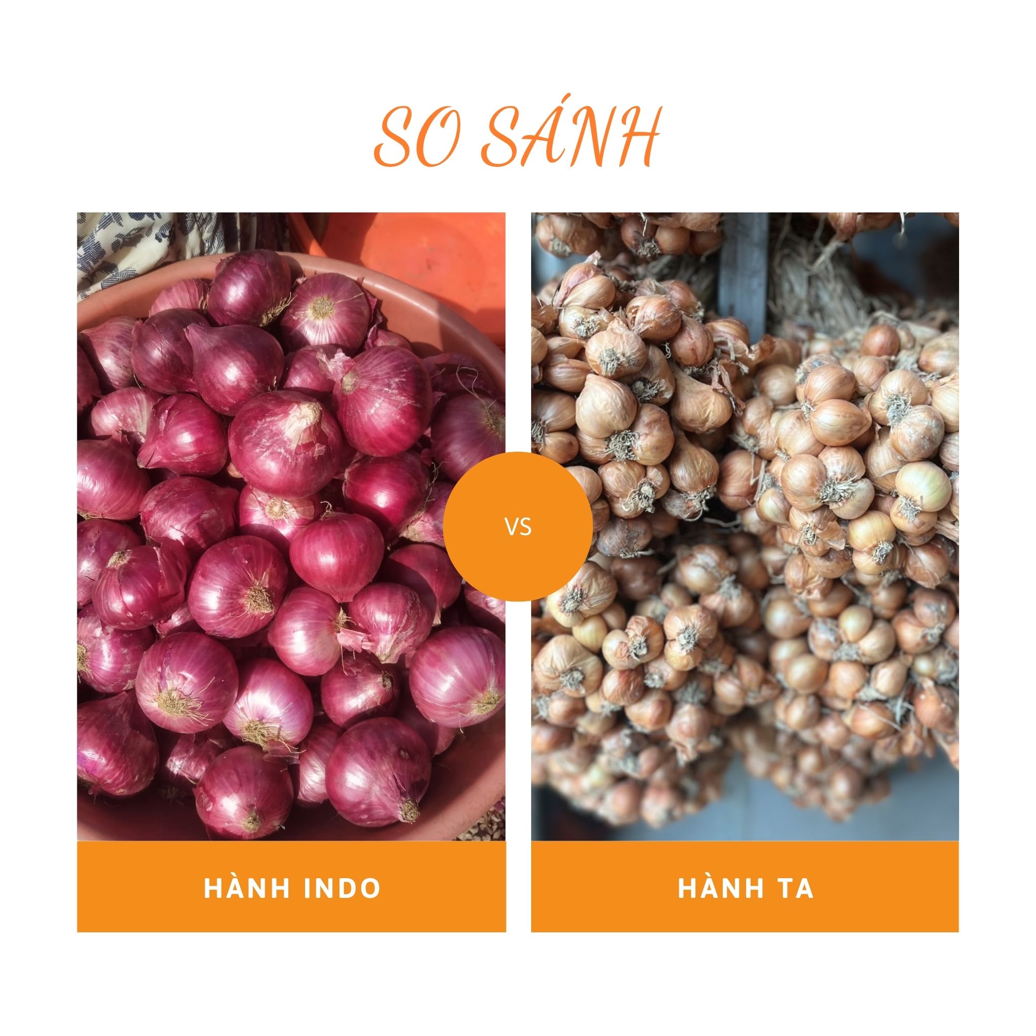 Hành tím khô Indo và hành ta khác nhau thế nào