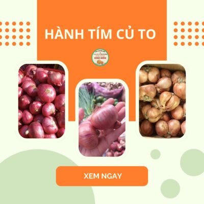 Hành tím củ to Nên chọn loại nào để phi hành ngon nhất