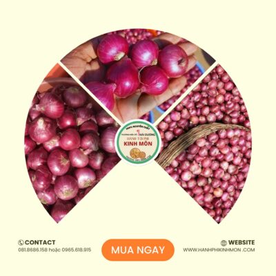 Hành Indo có tác dụng gì Bật mí lợi ích ít ai biết