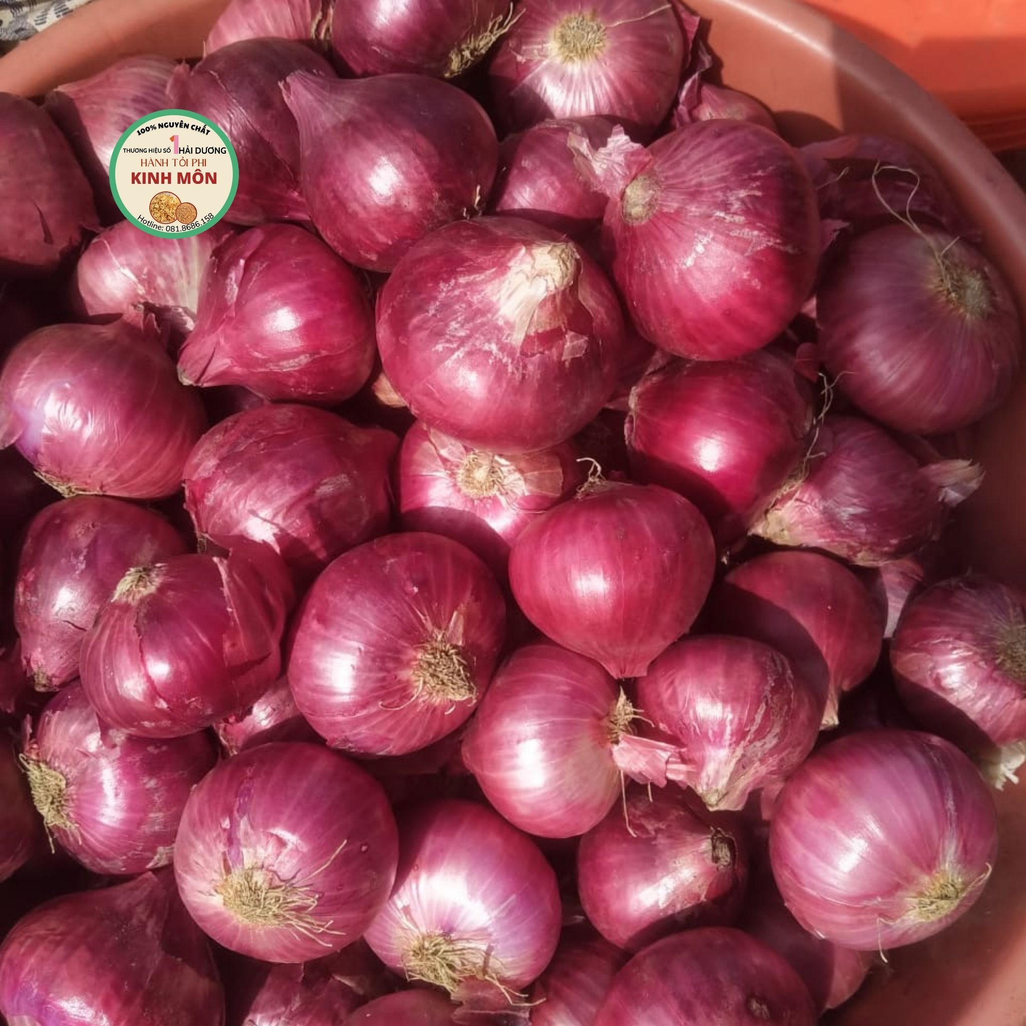 Hành Indo có tác dụng gì về mặt dinh dưỡng