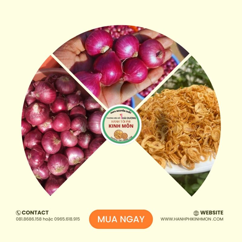 Nên Chọn Hành Tím To Hay Nhỏ Để Phi Hành