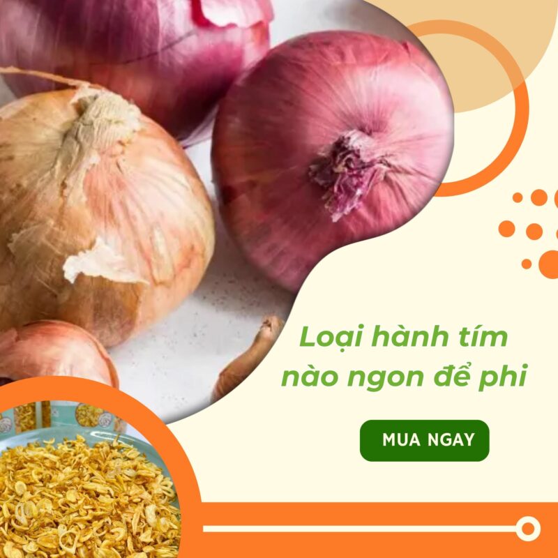 Nên phi hành làm từ loại hành tím nào ngon nhất