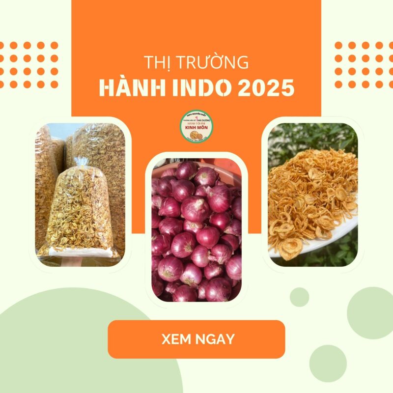 Thị trường hành Indo 2025 Giá có biến động không